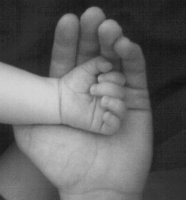 Hands.jpg