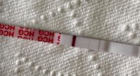 CD07E545-276F-4AC0-BB81-FD21D1F8DD8A.jpg
