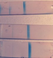 IMAG1040_1.jpg