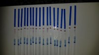 IMG-20171216-WA0024.jpg