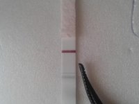 20180116_121756.jpg