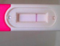 test4.jpg