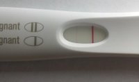 FRER-13DPO-closeup.jpg