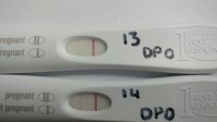 FRER-progression.jpg