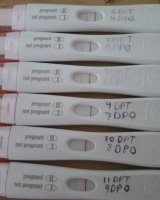 rps20180123_172508.jpg