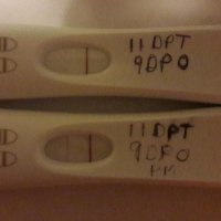 rps20180123_182900.jpg