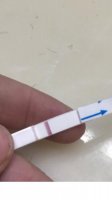 Test 1.jpg
