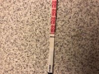 D9E4CF9D-271E-4075-8E90-0FAD032841C6.jpg