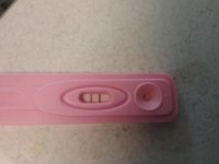20180220_095543.jpg