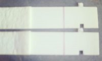 20180224_114742.jpg