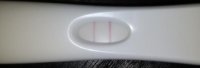 cd10.jpg