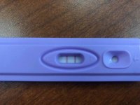 22718 OPK.jpg