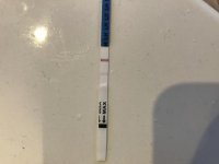 EB2B61C0-9C5F-4836-B339-0740698BD6E1.jpg