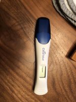 pregnancy 3.jpg