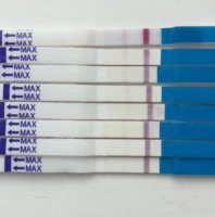 C32C8452-FDBF-45D3-863B-934A2FDB34E0.jpg