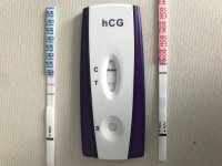B6B102C5-AB27-4CFA-AB51-B9995353D02C.jpg