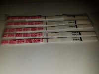 20180305_201154.jpg