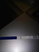 IMG_20180312_164337.jpg