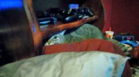 P_20180305_190053.jpg