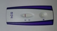 3-2018-12-13dpo-1.jpg