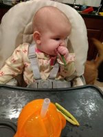 FB_IMG_1521821128109.jpg