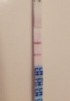 20180324_092200.jpg