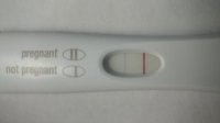 FRER-11DPO.jpg