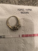 26AC08DF-3D23-4FA0-B8CF-EEB9519717C9.jpg