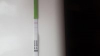 IMG-20180402-WA0001.jpg