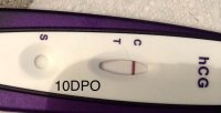 10dpo.jpg