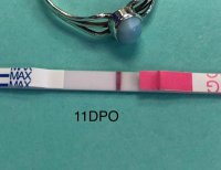 11dpo.jpg