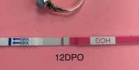 12dpo.jpg