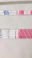 EB4AACFF-A431-400B-AD54-36B334DAD41E.jpg