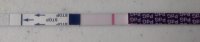 6dpo dbl ck.jpg