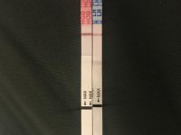 E598B2E7-8CED-4788-B93A-76CED6A223F5.jpg