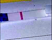 4CE75FF8-1F0B-4BE2-94F4-48CF4455B699.jpeg