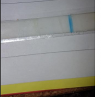 10dpo.png
