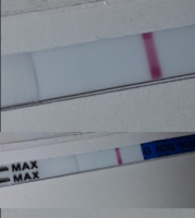 10dpo2.png