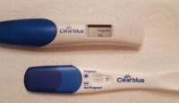 11dpo22.jpg