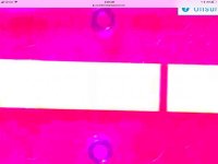 8A0F0AA0-3B5D-4546-915B-3BB112D83C24.jpg