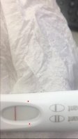 pg2.jpg