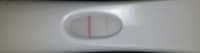 copy of test.jpg