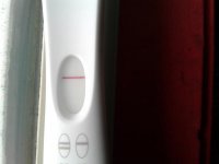 20180510_095255.jpg