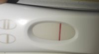 20180511_072639.jpg