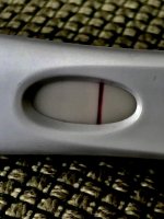 6C3FCA8E-6203-4026-A04B-468B0051C9B7.jpg