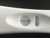 37A40FF7-0DBC-4E37-B0FD-3D6F2C4C5D36.jpg