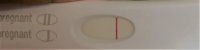 squint.jpg