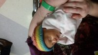 20180427_152435.jpg