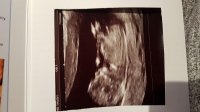 IMG-20180612-WA0000.jpg