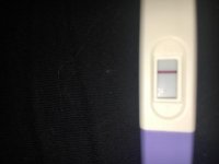 B233B9CC-E6F7-4CF8-80F8-E133DFBDB58D.jpg